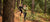 Couple running through the woods on a dirt path.