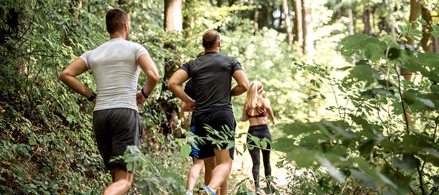 Small group of three joggers going through a green wooded area.