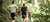 Small group of three joggers going through a green wooded area.