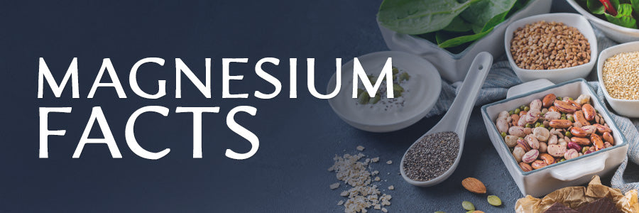 Ingredients that contain magnesium on a table to teach about Magnesium Facts