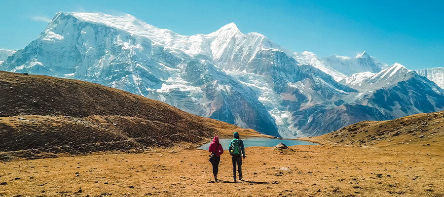 Two people walking in a field to a large blue, snow peaked mountain.