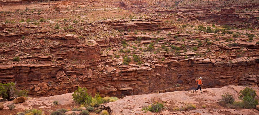 Athletic person running next to a ravine in the desert.