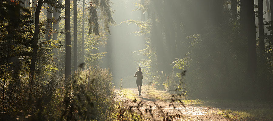 Person walking in a forest outlined by a ray of sun.