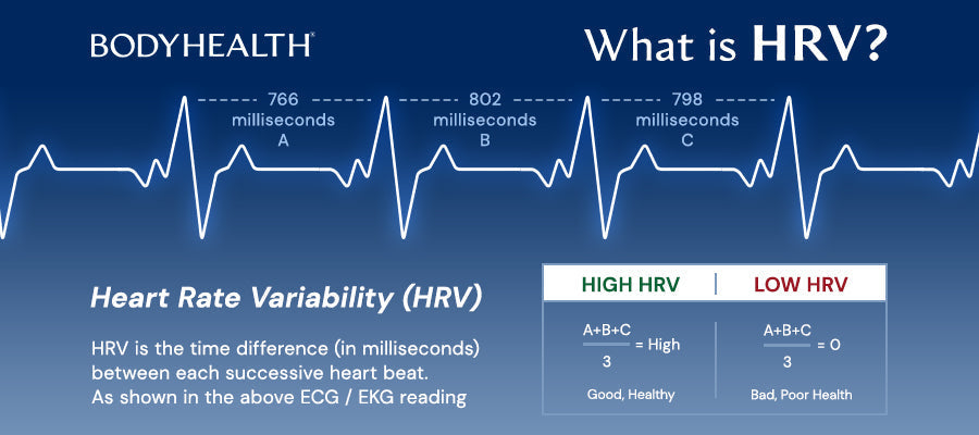 Measuring Our Health: What Is Heart Rate Variability - BodyHealth.com LLC