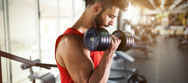 Lean Bulk Week One: Protocol & Nutrition