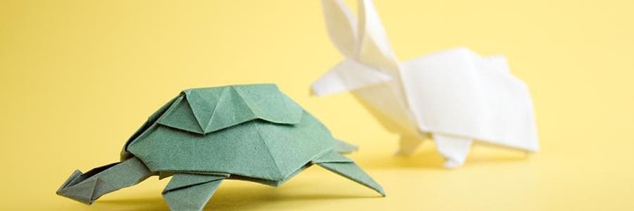 White Paper Rabbit origami and a green paper turtle origami