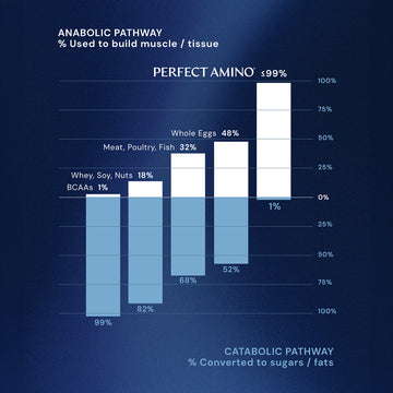 PerfectAmino Essential Amino Acids EAA - BodyHealth.com LLC PerfectAmino Essential Amino Acids EAA - BodyHealth.com LLC